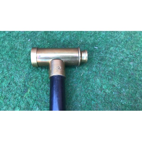 55 - Walking stick with telescope grip