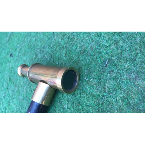 55 - Walking stick with telescope grip