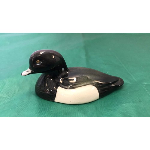 242 - Beswick tufted duck approved by Peter Scott