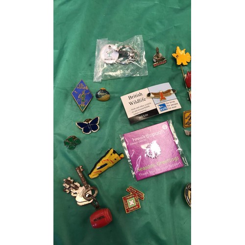 319 - Selection of badges including a WATNEYS key ring