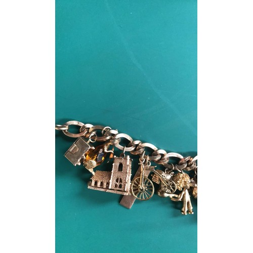 194 - 9ct bracelet with 18 charms with some articulate charms total  weight 82.69g