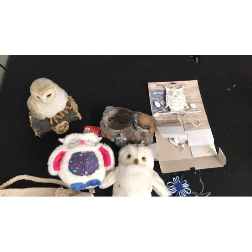 496 - Owl related items