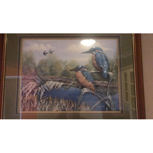 629 - Framed and glazed 3D kingfisher artwork