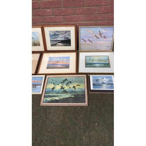 147 - 10 mixed flying duck  prints by Peter Scott