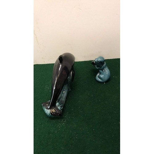 464 - pool dolphin and seal