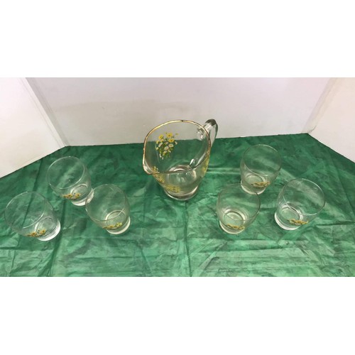 454 - summer glass lemonade set