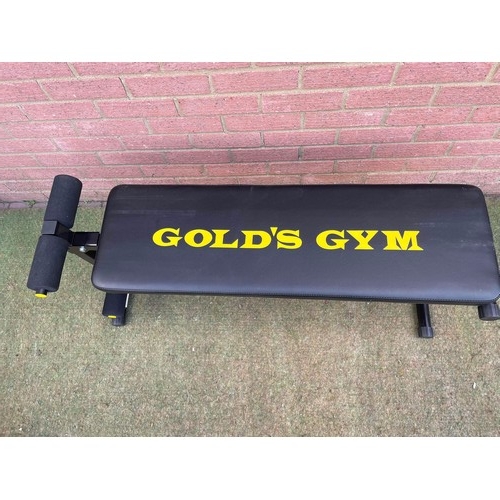 405 - Exercise bench by Golds Gym