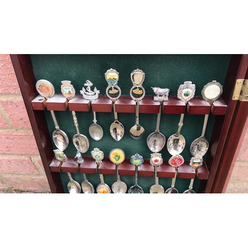 430 - display rack with spoons