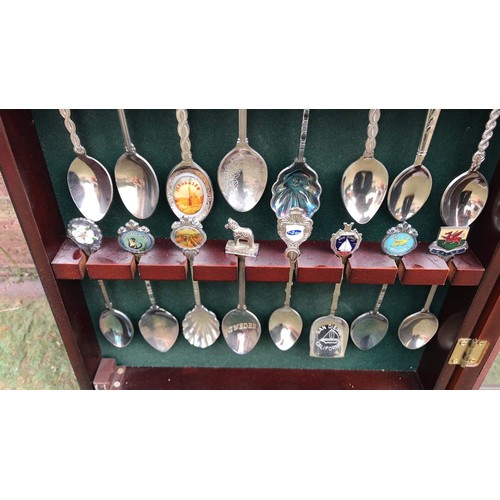 430 - display rack with spoons