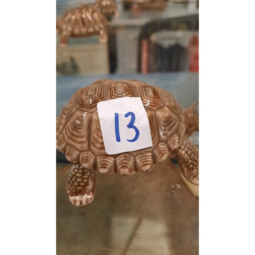 13 - Wade tortoise trio