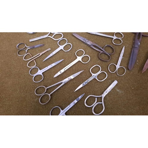 45 - quantity of mixed scissors