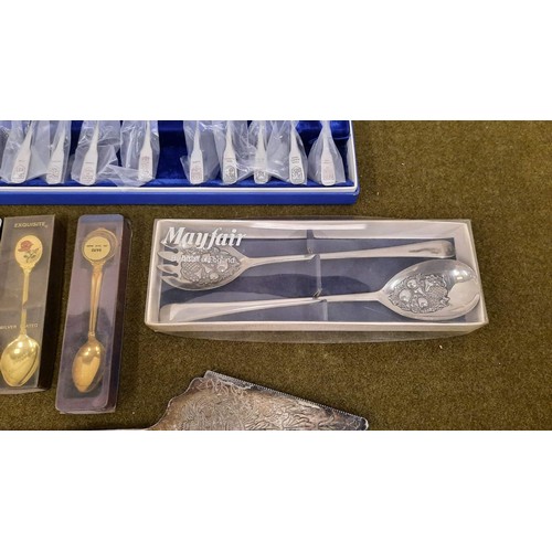 67 - mixed cased  collectables spoons and cake slice