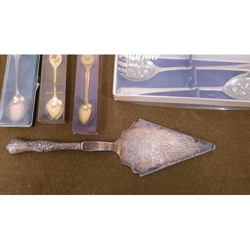 67 - mixed cased  collectables spoons and cake slice