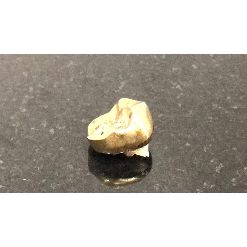 221 - Gold tooth weight 1.79g