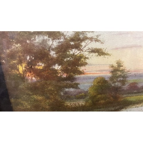 335 - EDWARDIAN BLACK FRAMED WATER COLOUR