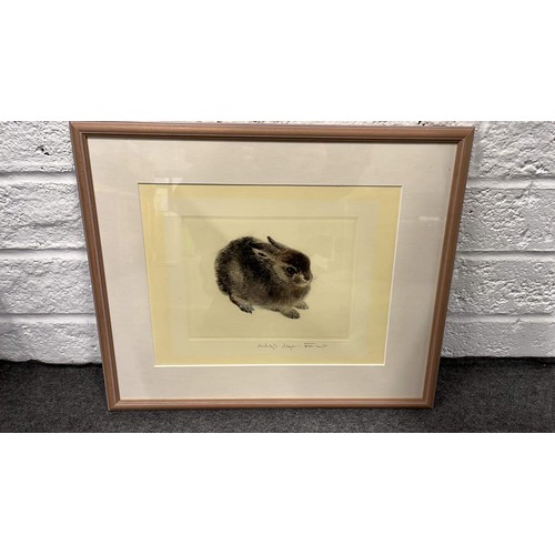 399 - LARGE FRAMED AND GLAZED RABBIT ART WORK