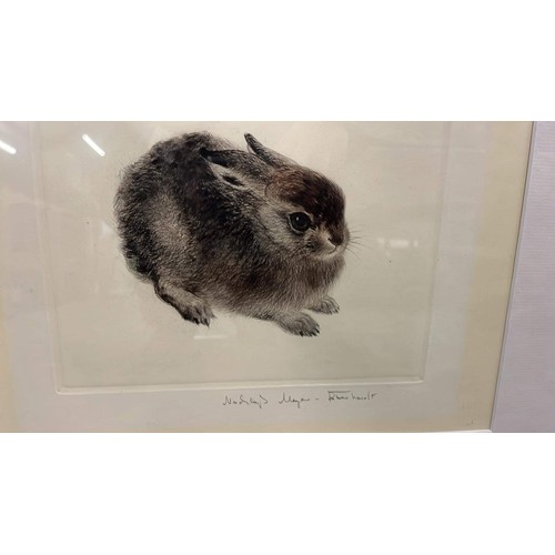 399 - LARGE FRAMED AND GLAZED RABBIT ART WORK