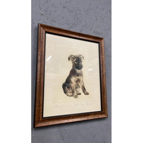 391 - LARGE FRAMED AND GLAZED PUPPY ART