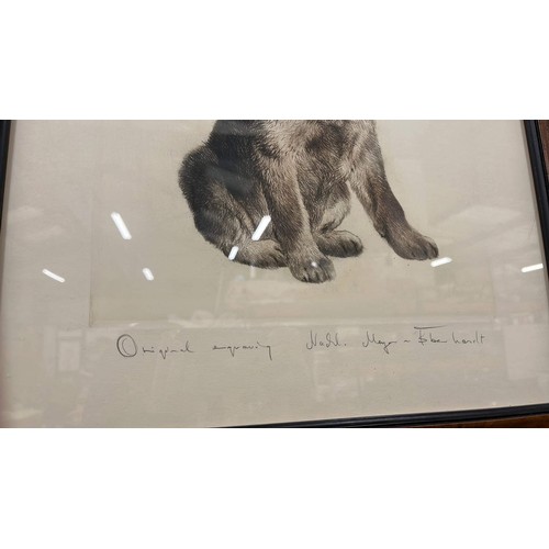 391 - LARGE FRAMED AND GLAZED PUPPY ART