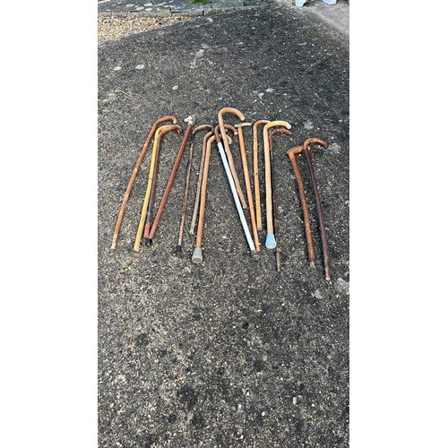 40 - COLLECTION OF WALKING STICKS