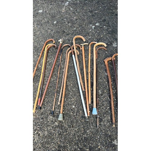 40 - COLLECTION OF WALKING STICKS