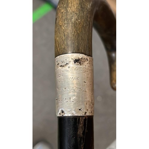 24 - 1919 SILVER COLLER WALKING STICK SEE PICTURES