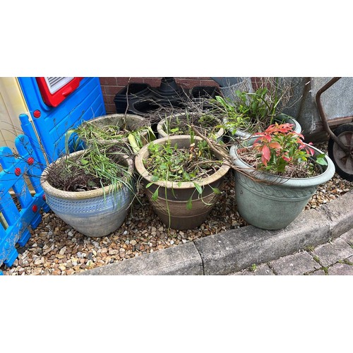 338 - 6 plant pots - 4 concrete 2 plastic