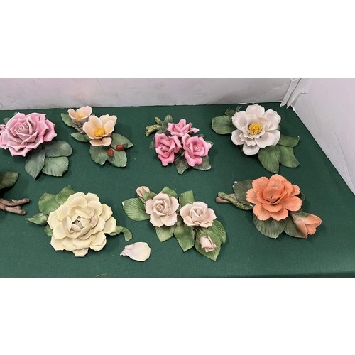 104 - COLLECTION OF ROSES MIXED GRADE
