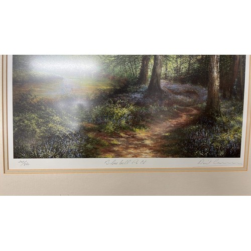 65 - Two signed prints - No 201/850 titled 'blue bell path' & 49/850 titled 'beech wood' by David Cra... 