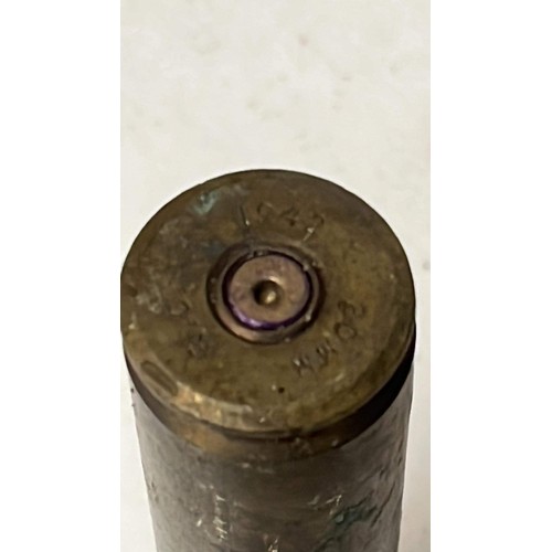 39 - TWO BRASS SHELL CASES