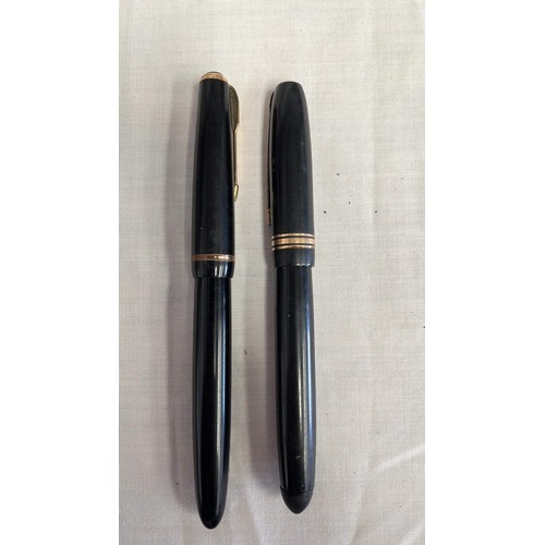 100 - TWO FOUNTAIN PENS WITH GOLD NIBS