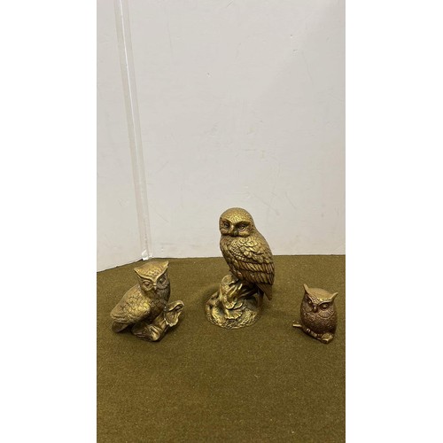 14 - THREE BRASS OWLS