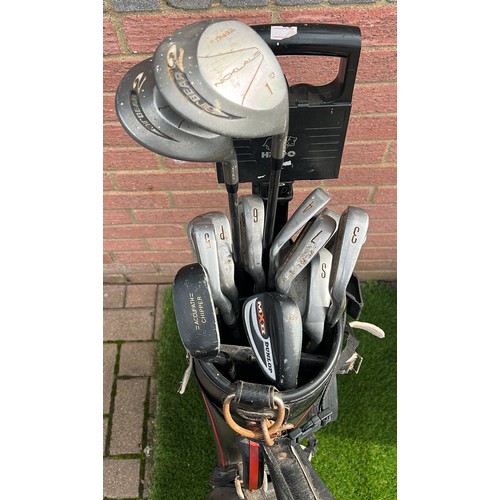 212 - GOLF CLUBS AND CADDIE