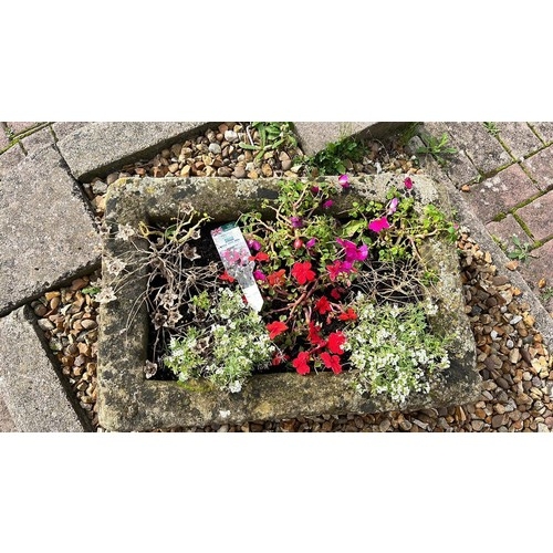 174 - SAND STONE PLANTER WITH PLANTS