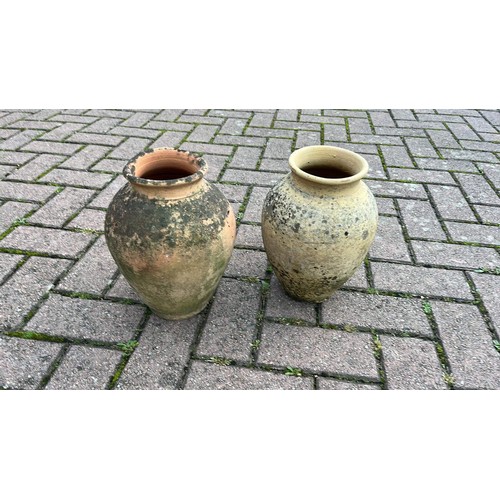 289 - TWO GARDEN VASES