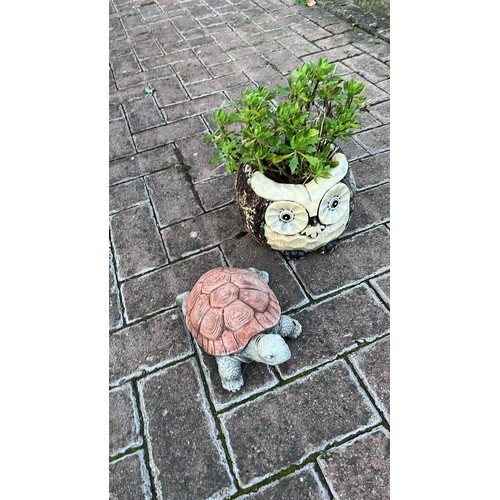 426 - OWL PLANTER AND TORTOISE