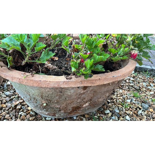 405 - PAIR OF PLANTERS WITH FLOWERS