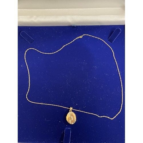 193 - 9ct pendant and necklace - weight 2.06g