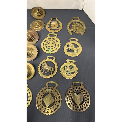 260 - Horse brasses