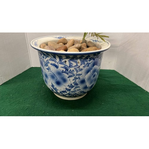 30 - LARGE BLUE AND WHITE ORIENTAL GOLD FISH BOWL WITH REAL PLANT