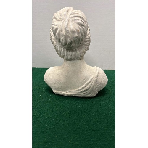 6 - FEMALE BUST