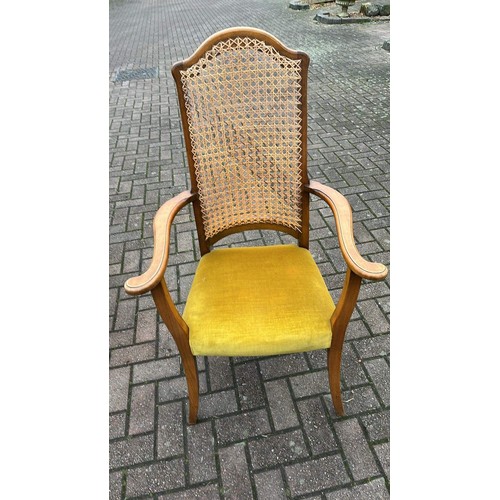 634 - RATTEN BACK CARVER CHAIR WITH PADDED SEAT