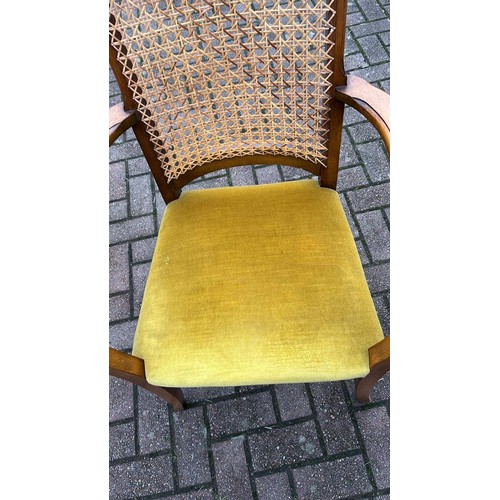 634 - RATTEN BACK CARVER CHAIR WITH PADDED SEAT