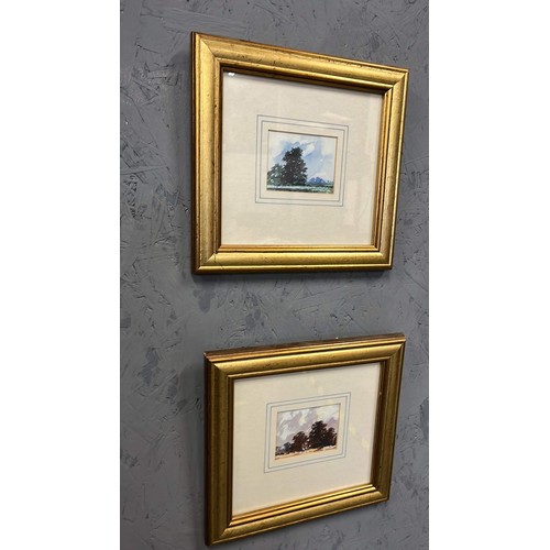 142 - THREE FRAMED TREE PRINTS