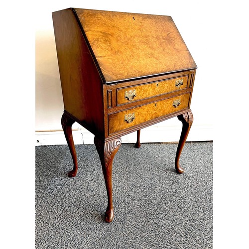 204 - WALNUT QUEEN ANN LEGGED BUREAU DESK WITH BURR PANELS