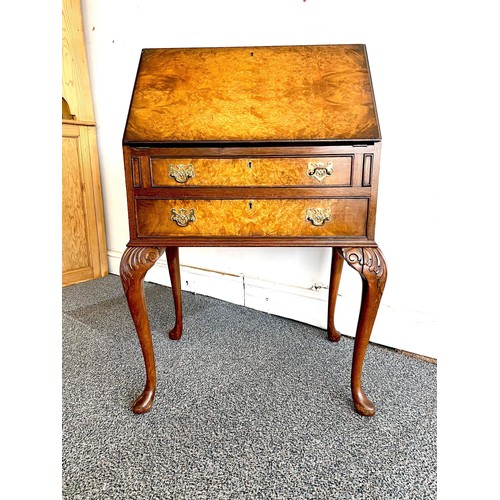 204 - WALNUT QUEEN ANN LEGGED BUREAU DESK WITH BURR PANELS