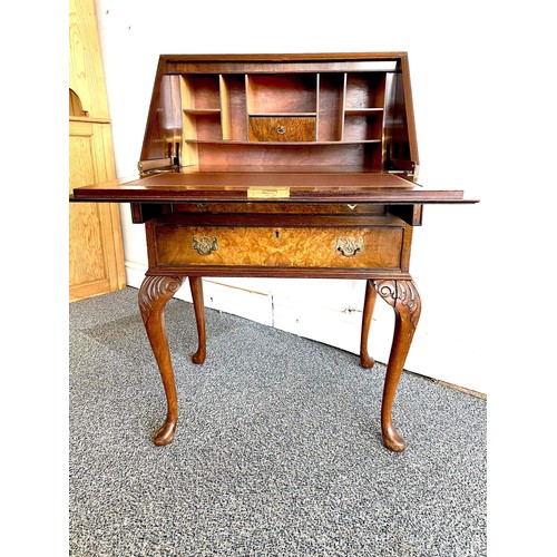 204 - WALNUT QUEEN ANN LEGGED BUREAU DESK WITH BURR PANELS