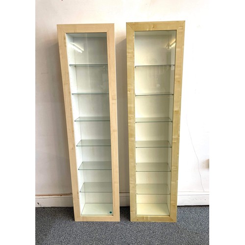 272 - TWO WALL MOUNT DISPLAY CABINETS