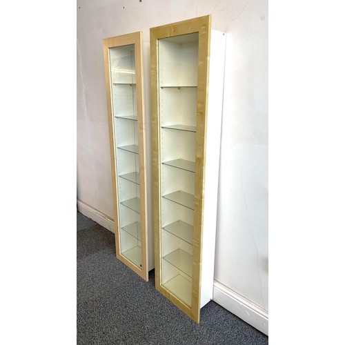 272 - TWO WALL MOUNT DISPLAY CABINETS