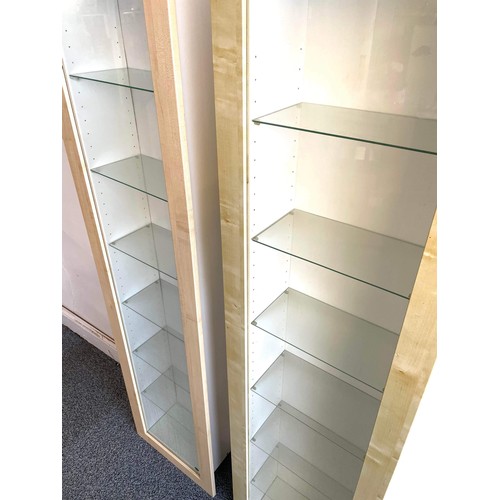 272 - TWO WALL MOUNT DISPLAY CABINETS